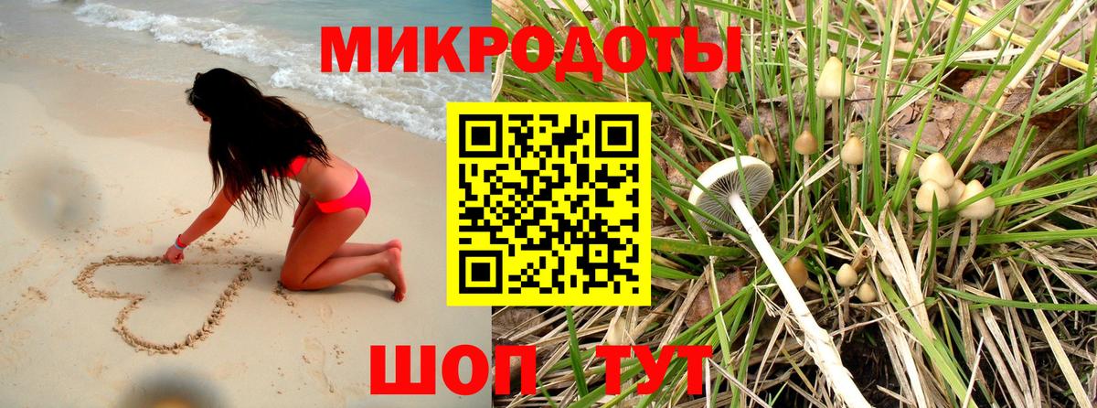 Тельмана  Псилоцибиновые грибы Cubensis  Вход с VPN 